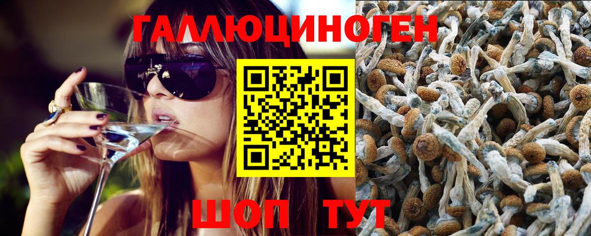 наркота  Псилоцибиновые грибы Psilocybe  Вход с VPN  Галлюциногенные грибы MAGIC MUSHROOMS  Губкинский 