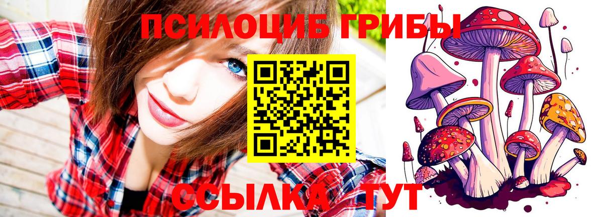 Псилоцибиновые грибы Cubensis Губкинский